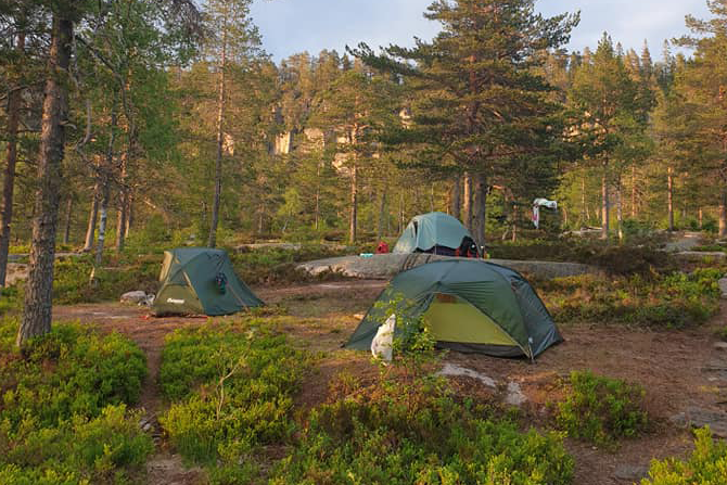 Tre telt i skogen.